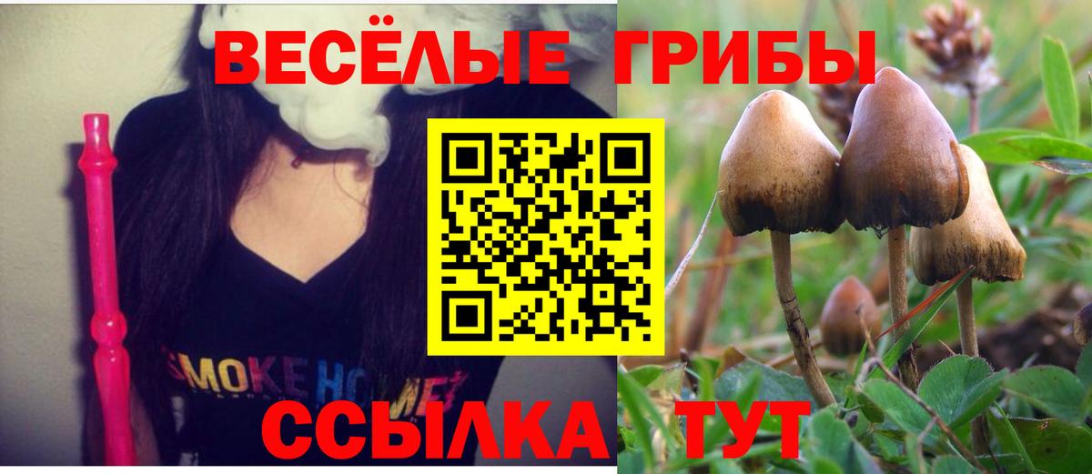 Галлюциногенные грибы мицелий Киров