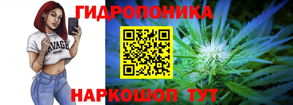 Киров  Конопля SATIVA & INDICA  Марихуана планчик  Канабис Bruce Banner  Вход с VPN 